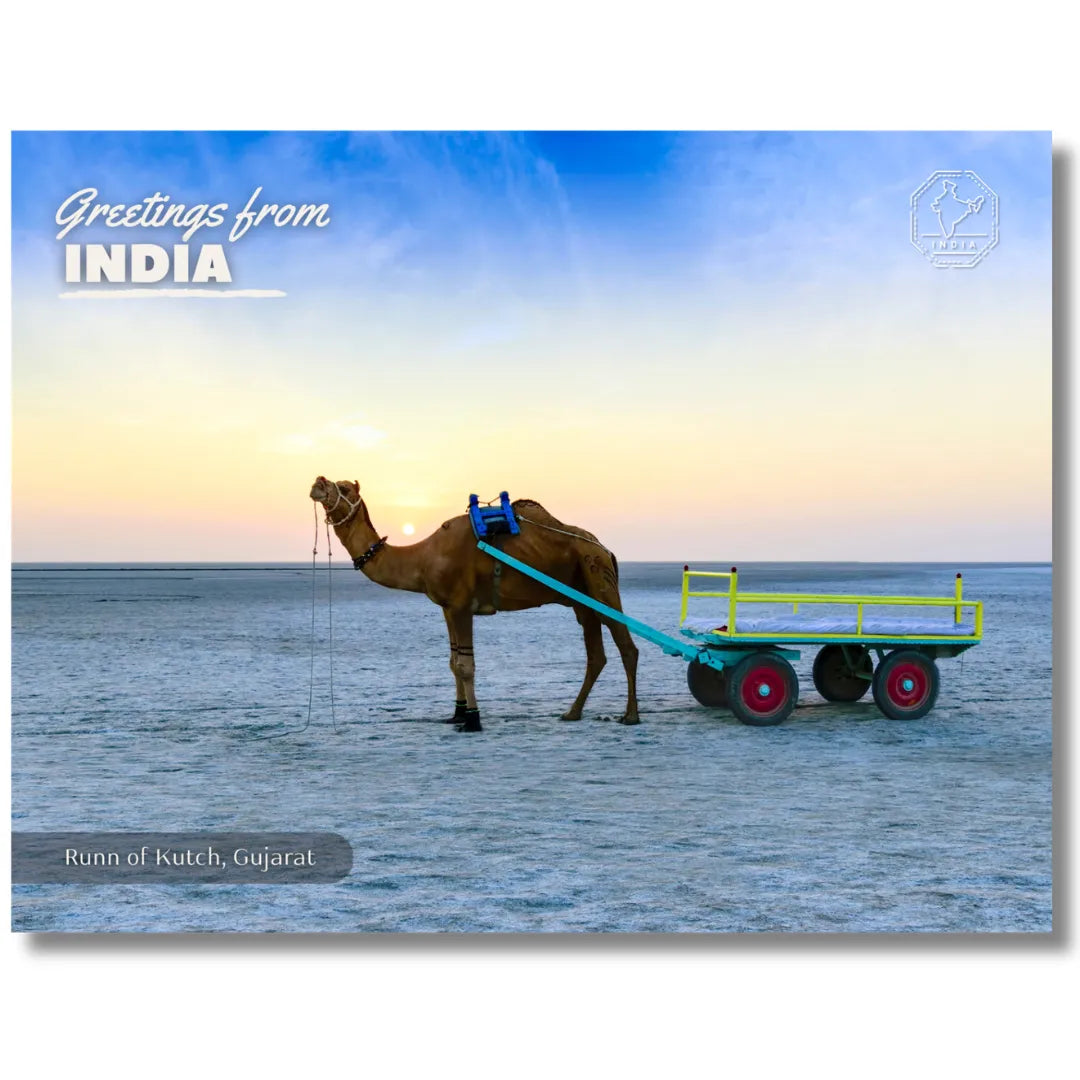 Gujarat Runn of Kutch India Postcards (Free Envelopes)