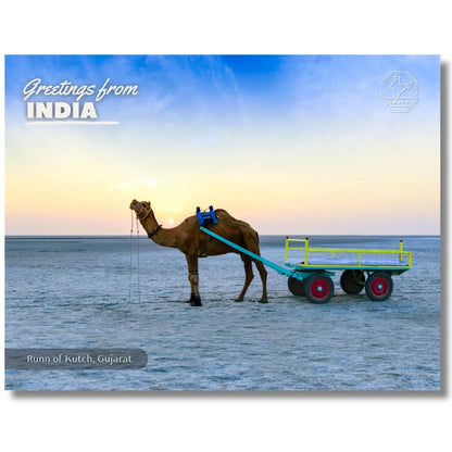 Gujarat Runn of Kutch India Postcards (Free Envelopes)