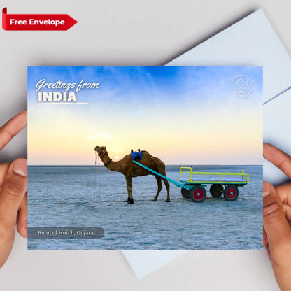 Gujarat Runn of Kutch India Postcards (Free Envelopes)