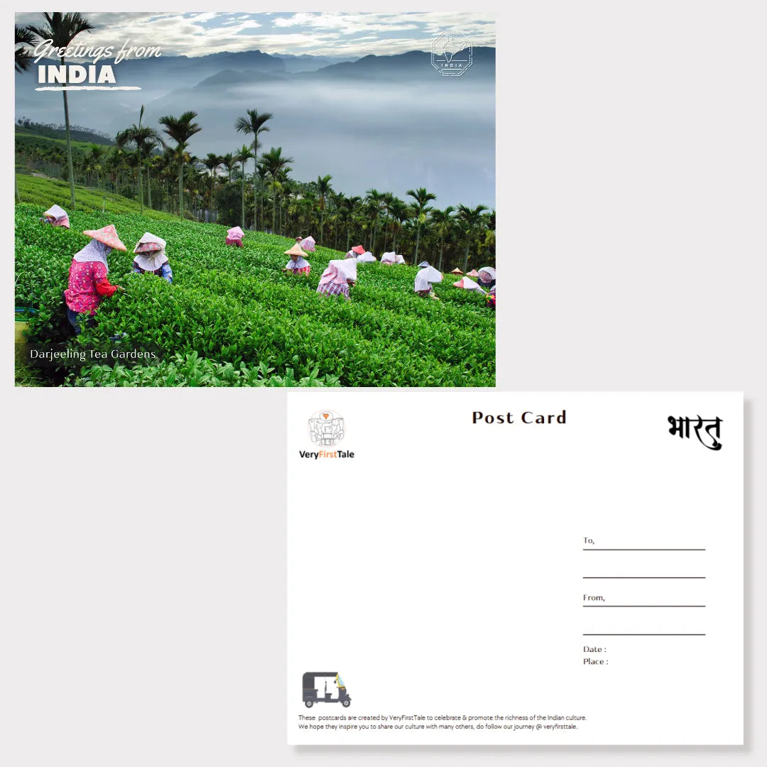 Darjeeling Tea Gardens India Postcards (Free Envelopes)
