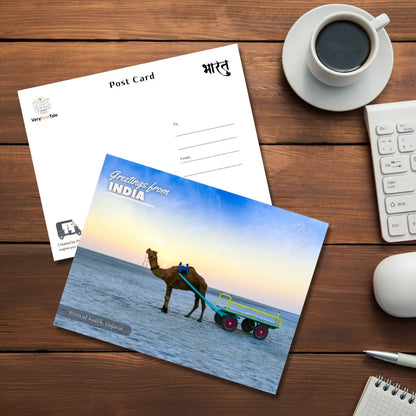 Gujarat Runn of Kutch India Postcards (Free Envelopes)