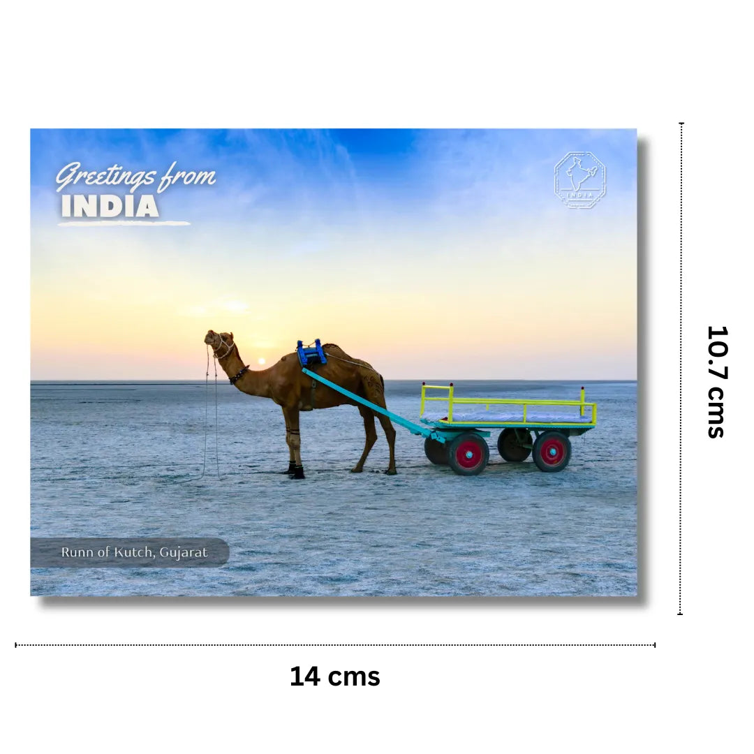 Gujarat Runn of Kutch India Postcards (Free Envelopes)
