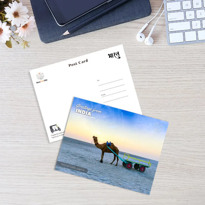 Gujarat Runn of Kutch India Postcards (Free Envelopes)