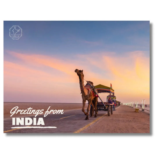 Camel Runn of Kutch India Postcards (Free Envelopes)